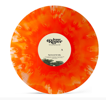 Load image into Gallery viewer, Way Down In The Valley Vinyl